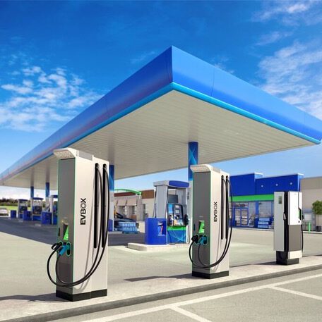 Snelladers in Nederland